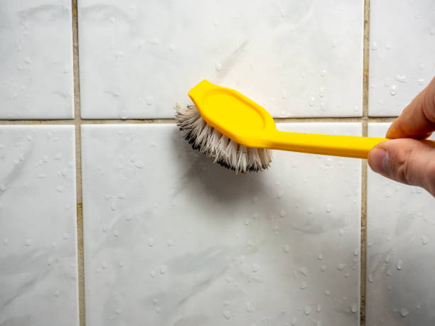 Best Commercial Mold Remediation in Emory, TX